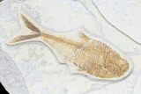 Fossil Driftwood & Three Fish With Wall Hanger - (Special Price) #78148-4